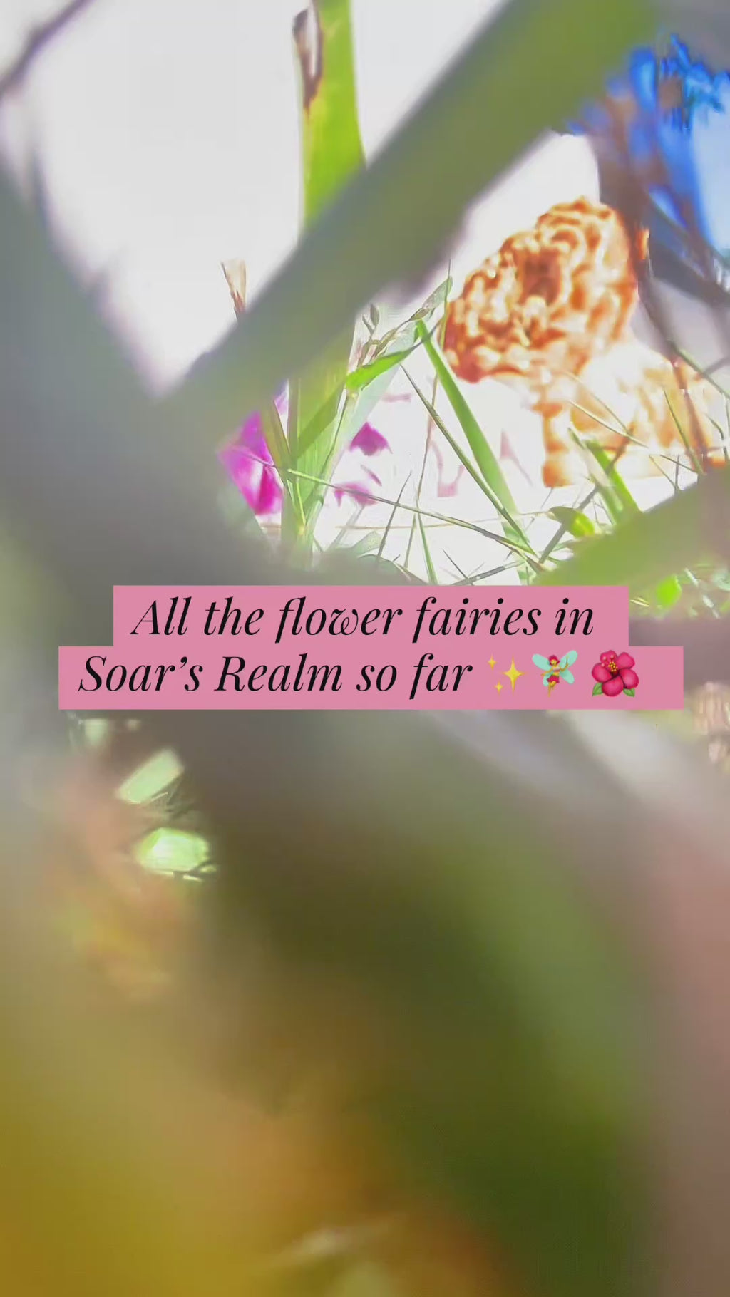 Set of Fairies